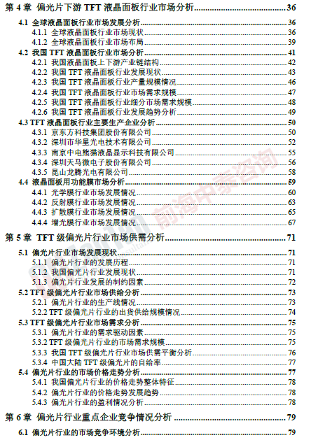偏光片市場調(diào)研專項(xiàng) 目錄片段_副本.png